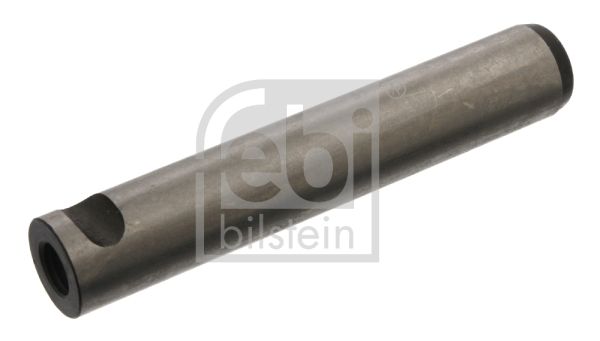 FEBI BILSTEIN Палец ушка рессоры 03133